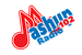 Mashup 102 Radio Logo