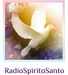 Radio Spirito Santo Logo