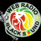 Radio Web Black Sound Logo