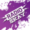 Radio SKAY Logo