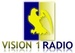 Vision1 Radio Logo