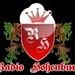 Radio Hohenburg Logo