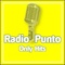 Radio Punto - Hits Channel Logo