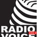 Radio Voice Logo