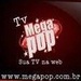 Mega Pop Radio Logo