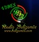 Radio Belizemix - Vibes Logo