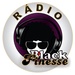 Rádio Black Finesse Logo
