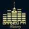 Barneo Fm - History Logo