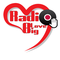 Radio Big Love Diaspora Logo