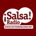 Salsa Radio Dominicana Logo