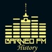 Barneo Fm - History Logo