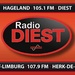 Radio Diest Logo