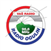 Radio Ogulin 96.6 Logo