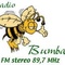 Radio Bumbar Logo