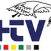 HTV Radio FM Logo