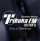 Radio Tribuna FM Logo