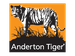 Anderton Tiger Radio Logo