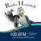 Radio Houtstok Logo