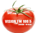 Visión FM Logo