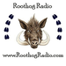 Roothog Radio Logo