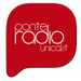 PonteRadio Unical Logo