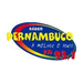 Radio Pernambuco FM Logo