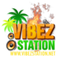 Vibez Station Logo