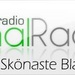 Kanalradion Logo