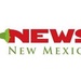 News New Mexico Logo