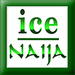 Ice Naija Logo