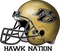 PG Hawk Network Logo