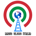 Radio Globo Italia Logo