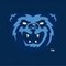 Mobile BayBears Radio Logo