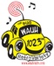 102.3 The Bug - WAUH Logo