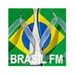 Brasil FM Logo