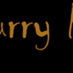 Curry Radio - Non Stop Hindi Logo