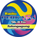 Radio Perkasa FM Logo