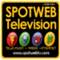 Spotweb Radio Logo