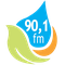 Rádio Líder 90,1 FM Logo