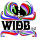 WIDB: The Revolution Logo