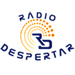 Rádio Despertar 91.0 FM  Logo