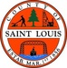 South St Louis County Fire and EMS Logo