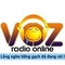 vOzer's Radio Online Logo