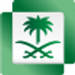 Saudi TV Channel 1 Logo