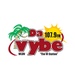 Da Vybe 107.9 - WLDV Logo