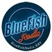 BlueFish Radio Logo