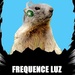 Frequence Luz Logo