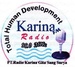 Radio Karina Logo