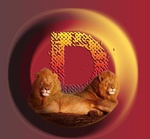 Dubside Radio Logo