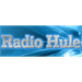 Radio Hule Zvornik Logo